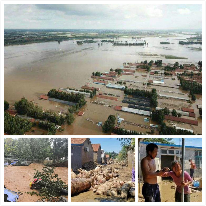 ���ǵ羺��(�й�)���Ӿ���ƽ̨