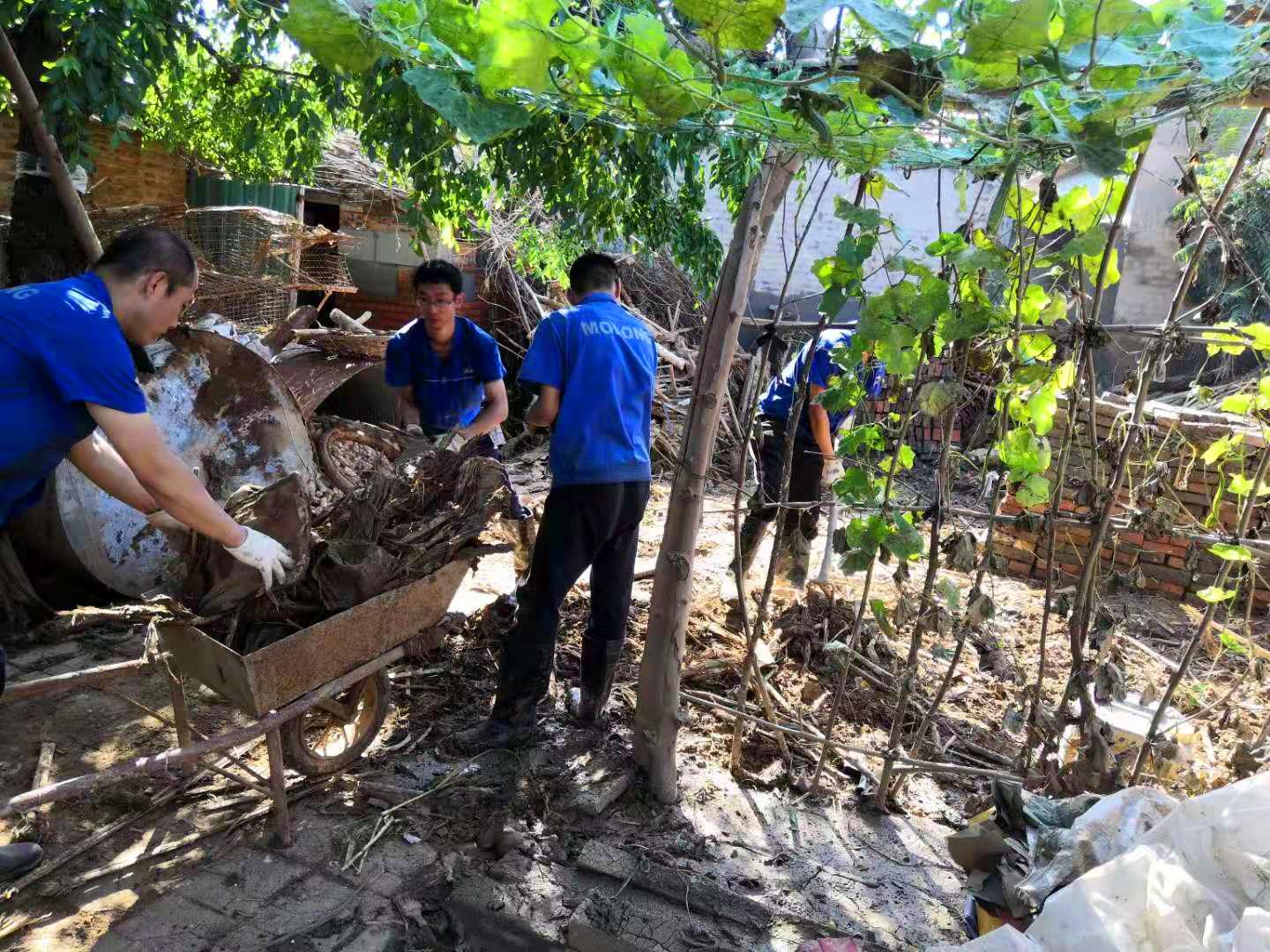 ���ǵ羺��(�й�)���Ӿ���ƽ̨