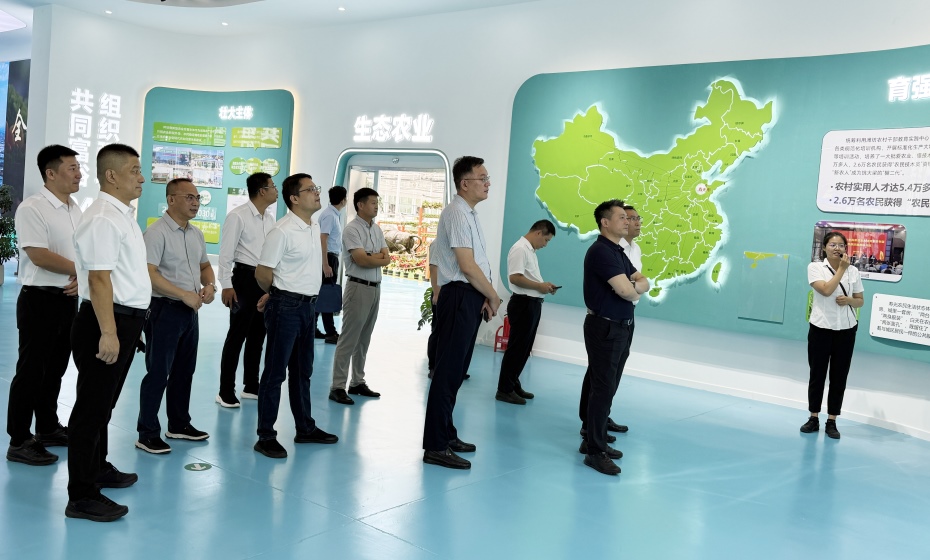 ���ǵ羺��(�й�)���Ӿ���ƽ̨